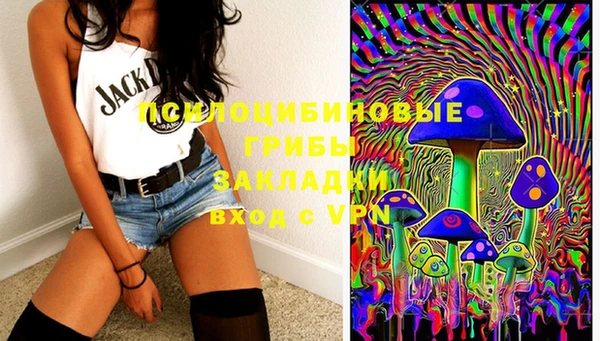 PSILOCYBIN Майский