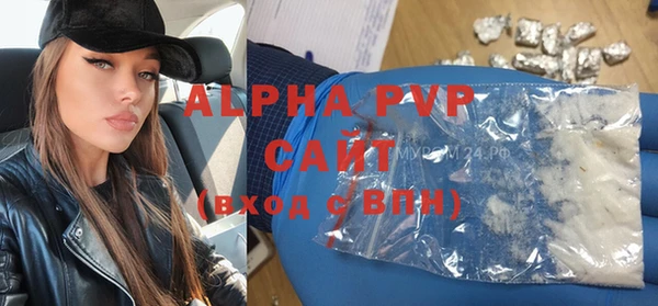 PSILOCYBIN Майский